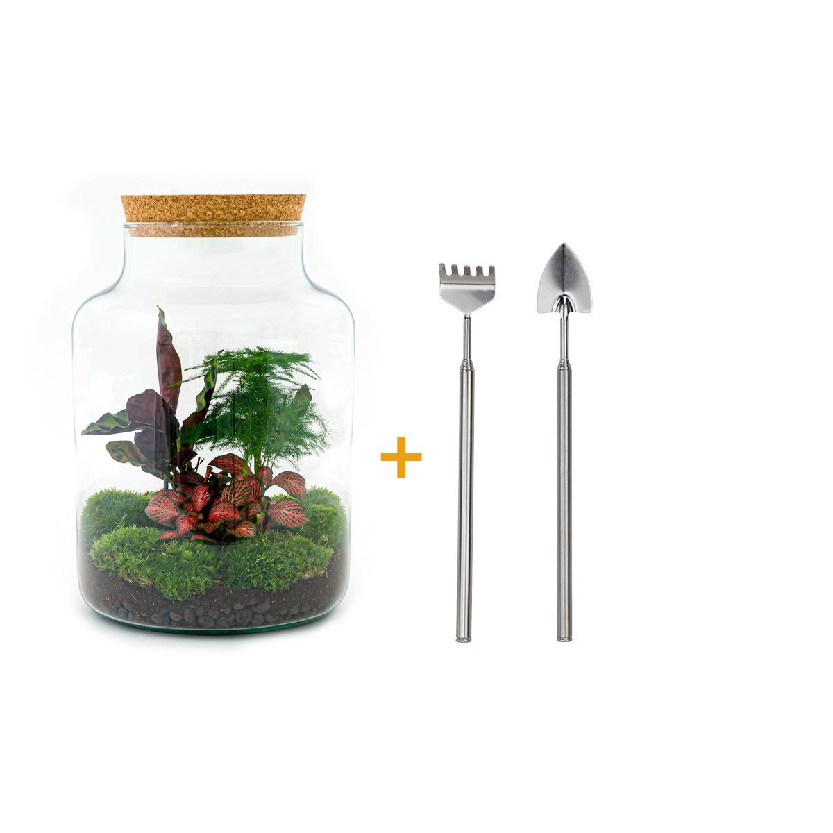 Detailfoto van DIY Planten terrarium met licht - Milky - Met hark en schep