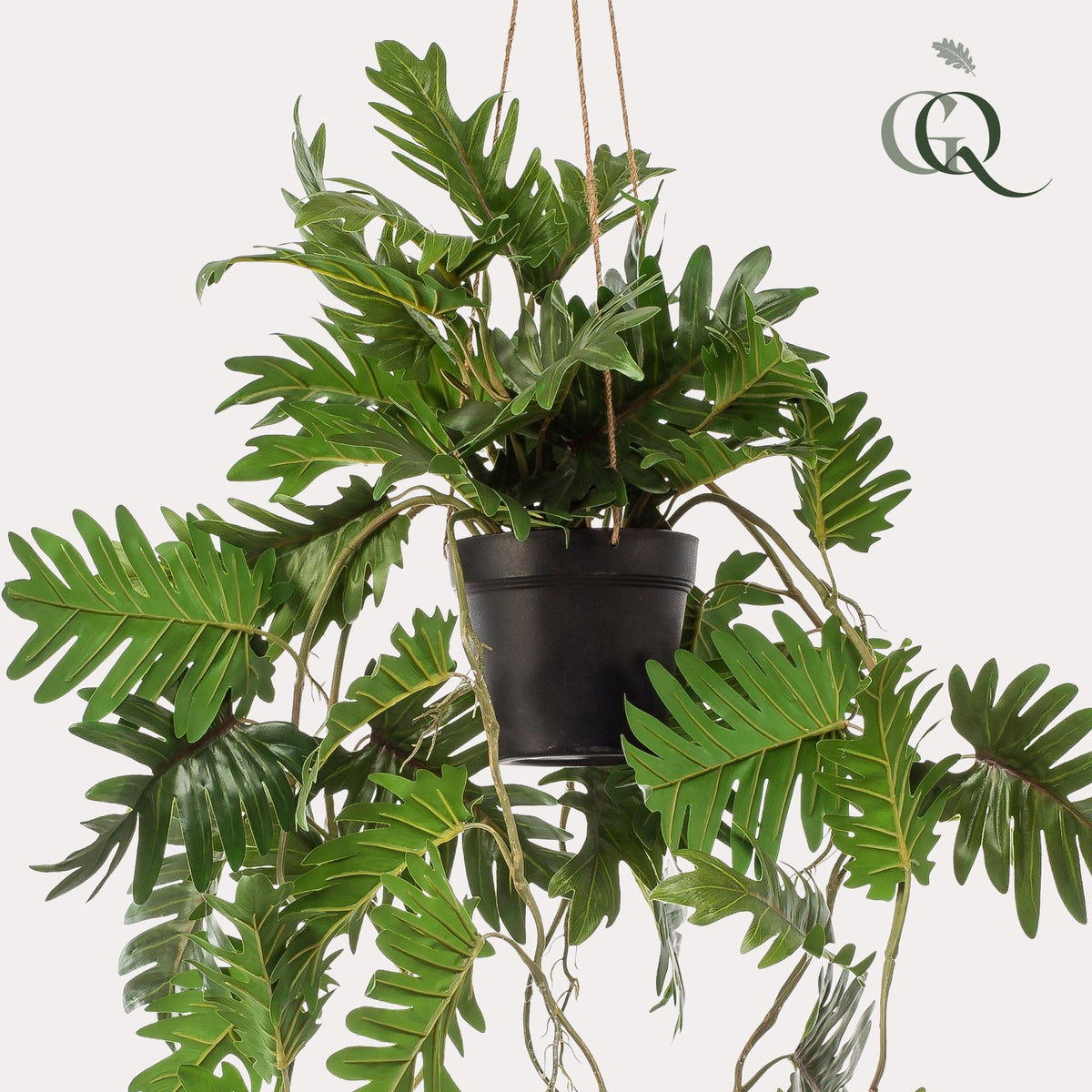 Productafbeelding van Pureplant