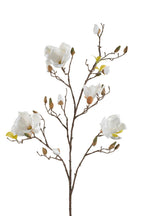 Kunstbloemen Solo - Crème - Magnolia Branches - x 4, groeiwijze van de plant