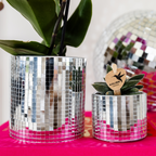 Plantenset Disco, detail van het blad