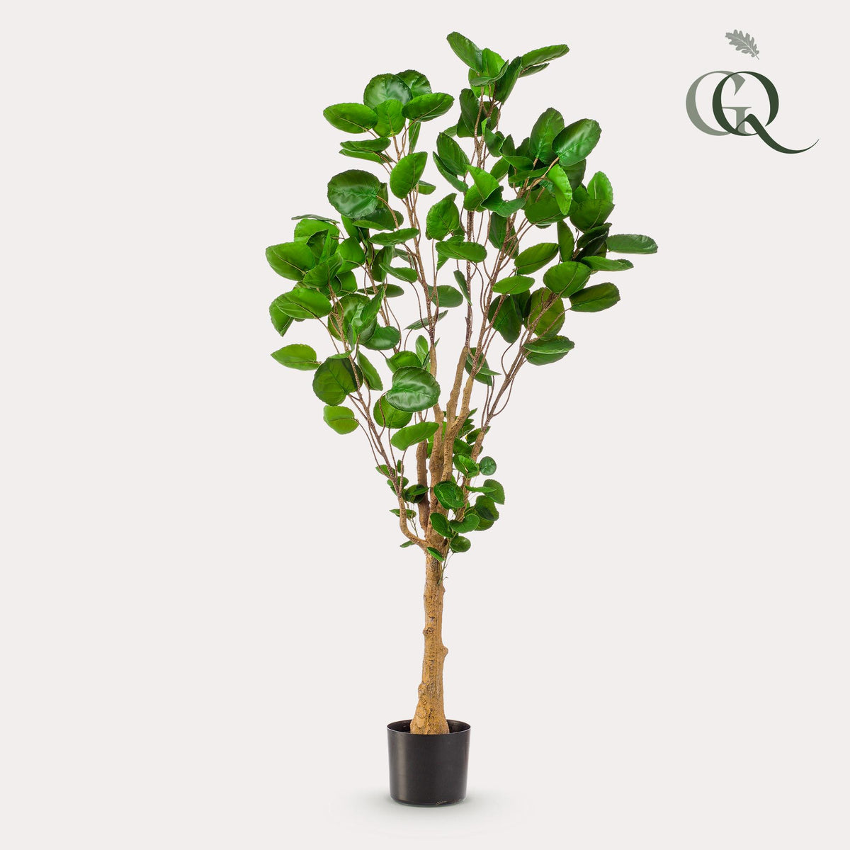 Productafbeelding van Pureplant
