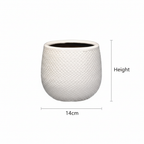 Pot Gabriel rond wit, groene bladeren