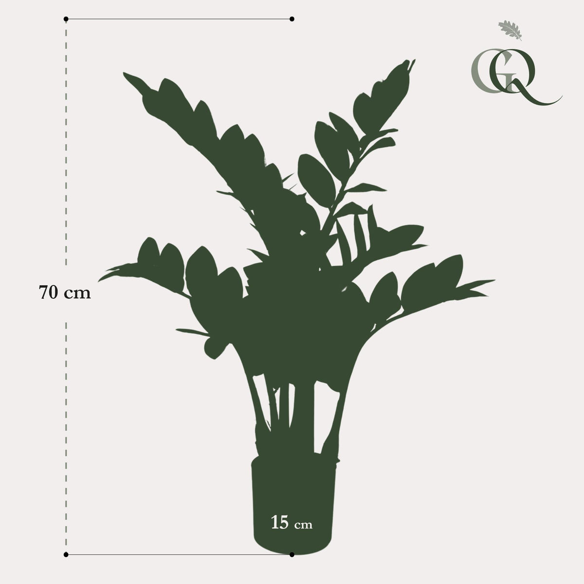 Productafbeelding van Pureplant