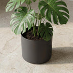 Elho b.for soft bloempot, antraciet, mat fluweelzacht, 35 cm, detail van het blad