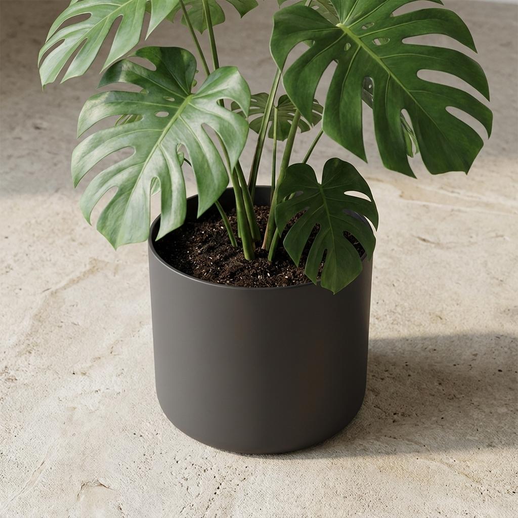 Elho b.for soft bloempot, antraciet, mat fluweelzacht, 35 cm, detail van het blad