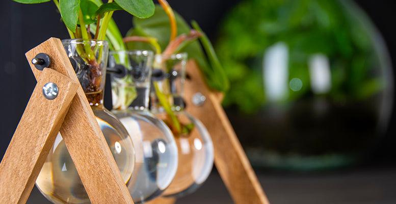 Productafbeelding van Pureplant