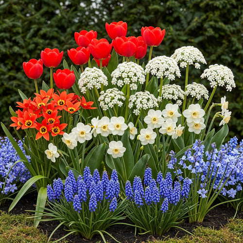 Bulbs From Holland, detail van het blad