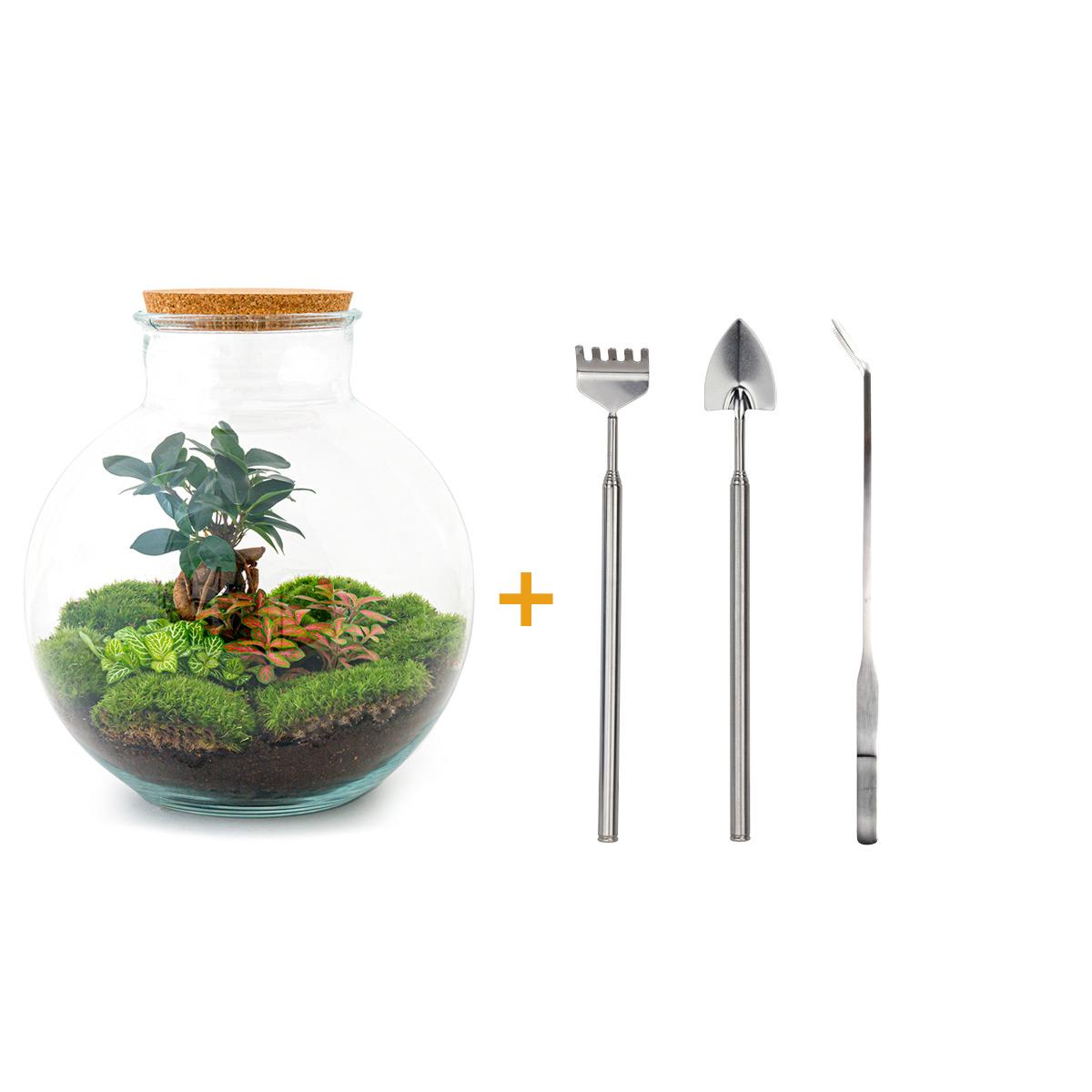 Productafbeelding van Pureplant