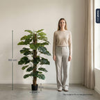 Monstera on pole, groene bladeren