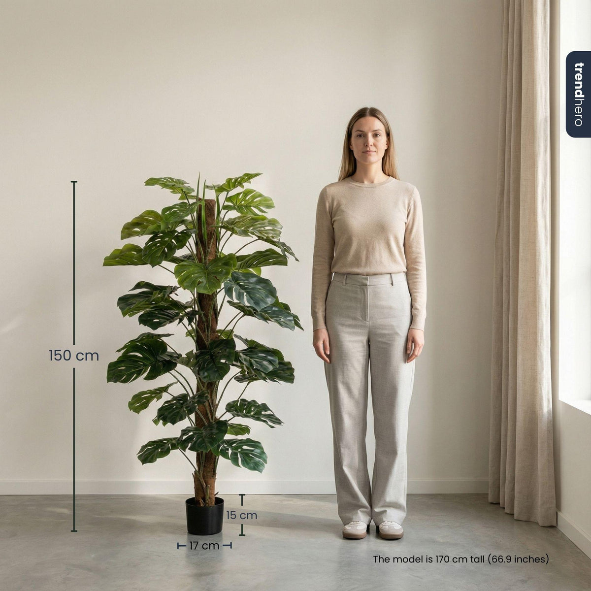 Monstera on pole, groene bladeren