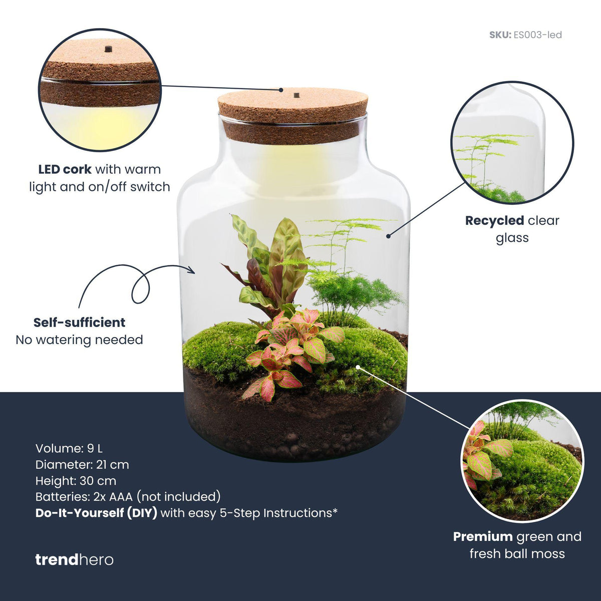 Detailfoto van DIY Planten terrarium met licht - Milky - Zonder gereedschap
