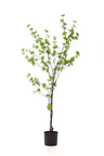 Kunstplant Tropaeolum speciosum, Oost-Indische kers, 150 cm