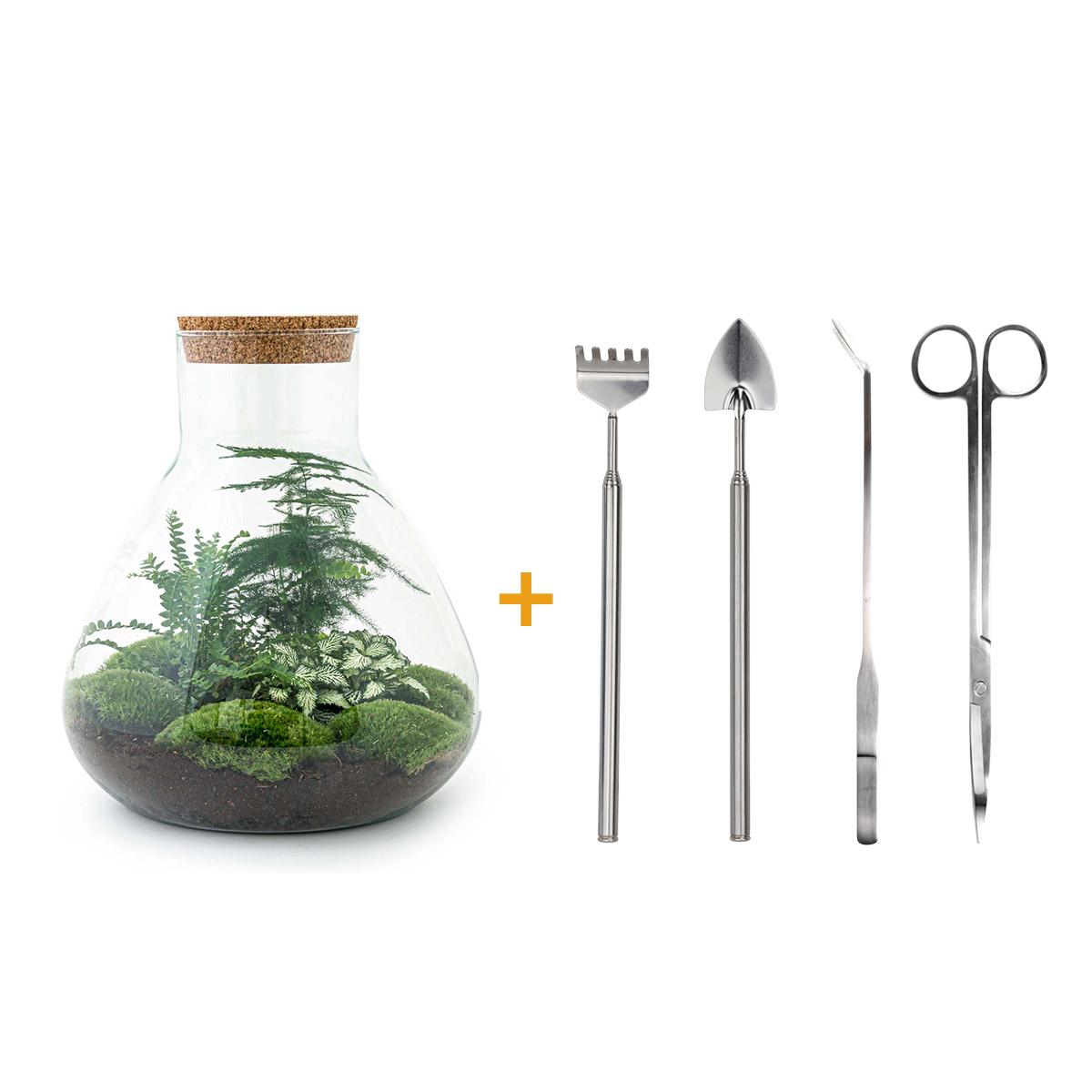 Detailfoto van DIY terrarium Sam XL Green met licht, compleet gereedschap