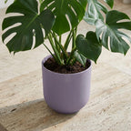 Productfoto van Pot Elho Jazz Round Lavender Lilac - D23