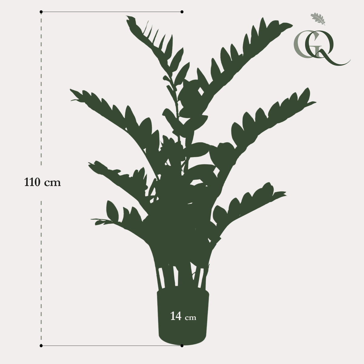 Productafbeelding van Pureplant