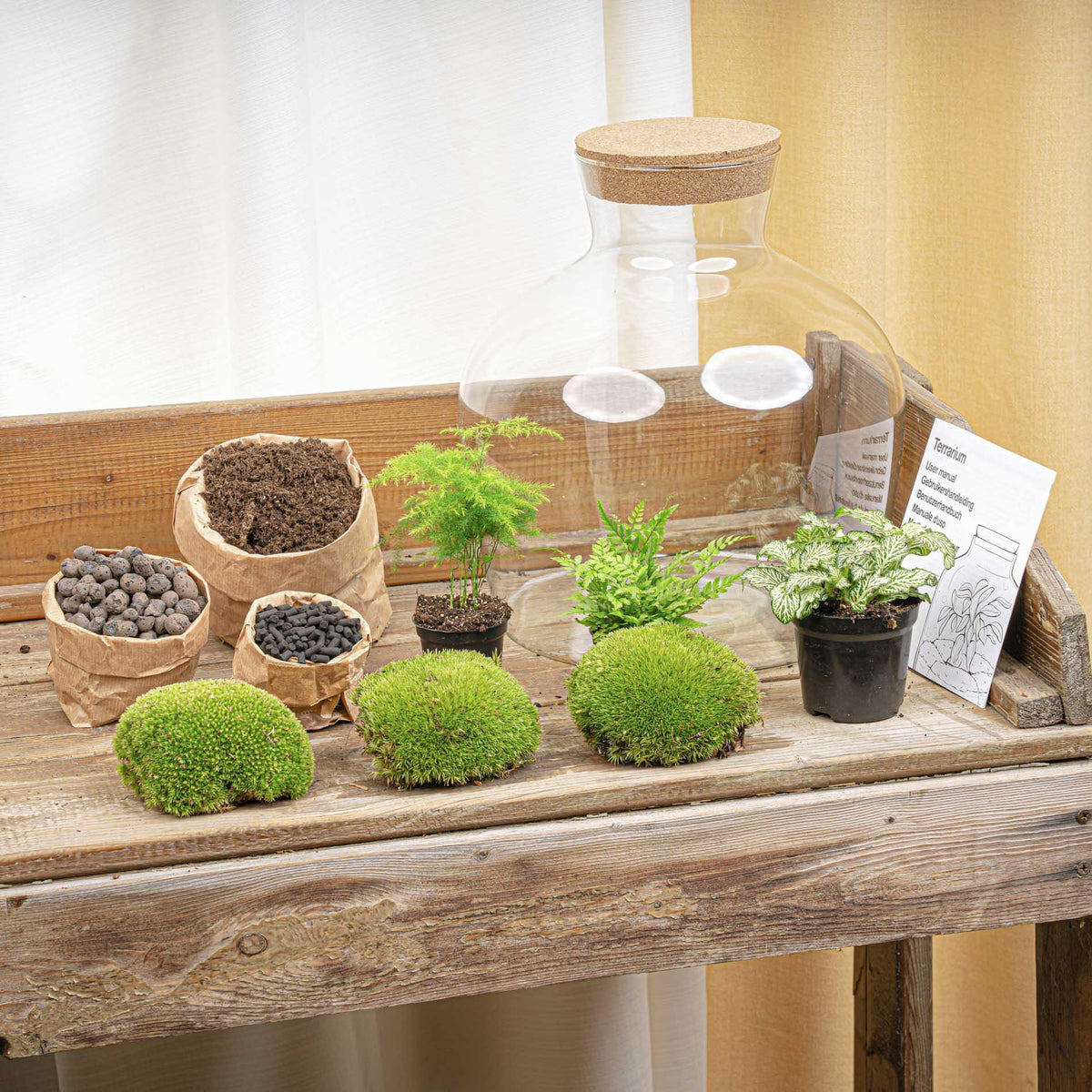 Productafbeelding van Pureplant