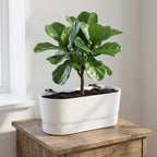 Detailfoto van Elho Pot Greenville Easy Balcony D25cm - Wit