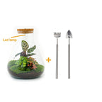Productafbeelding van Pureplant