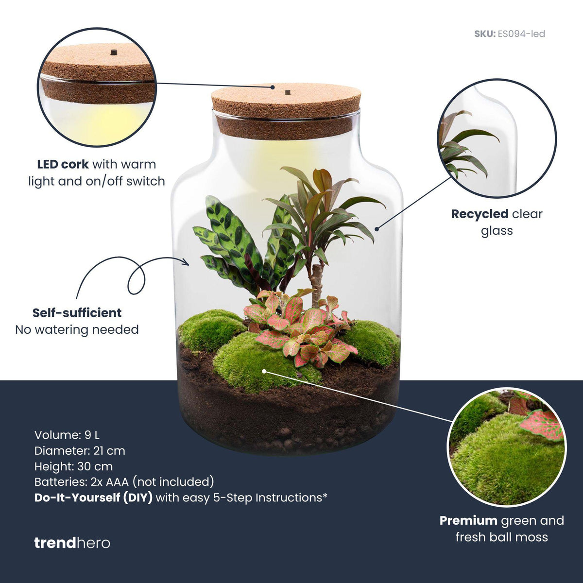 DIY Planten terrarium met licht - Milky Palm, plant in pot
