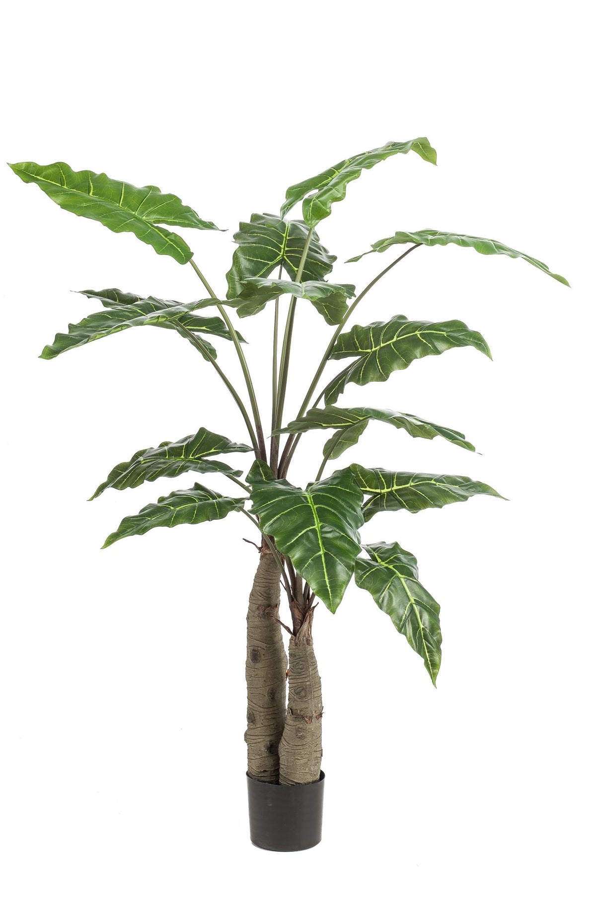 Kunstplant Alocasia, olifantsoor met pijlvormig blad, 150 cm, detail van het blad