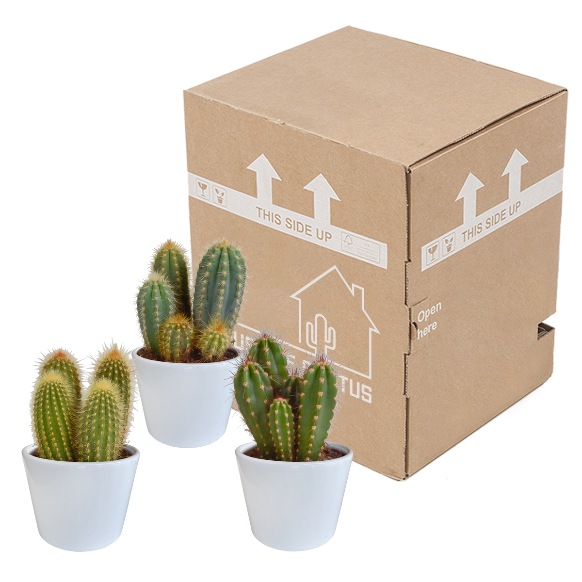 Productafbeelding van Pureplant