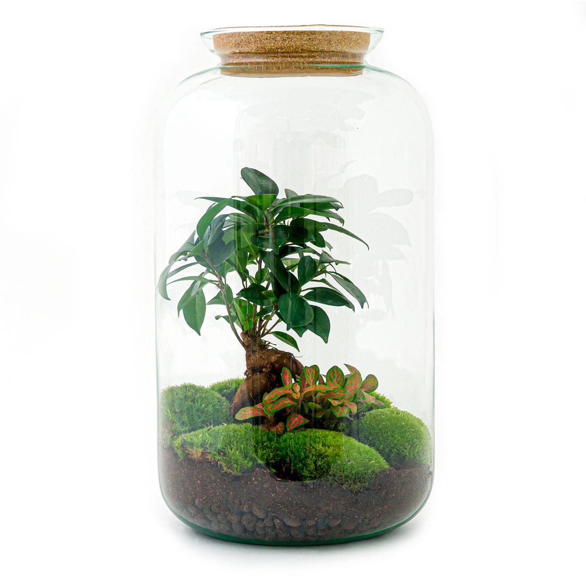 Detailfoto van DIY terrarium - Sven Bonsai - Met hark en schep