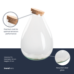 Terrarium fles met kurk - Drop XL, groeiwijze van de plant