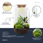 Productafbeelding van Pureplant