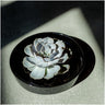 ROOTLESS Succulent Echeveria Lilacina in schaal 'zwart'