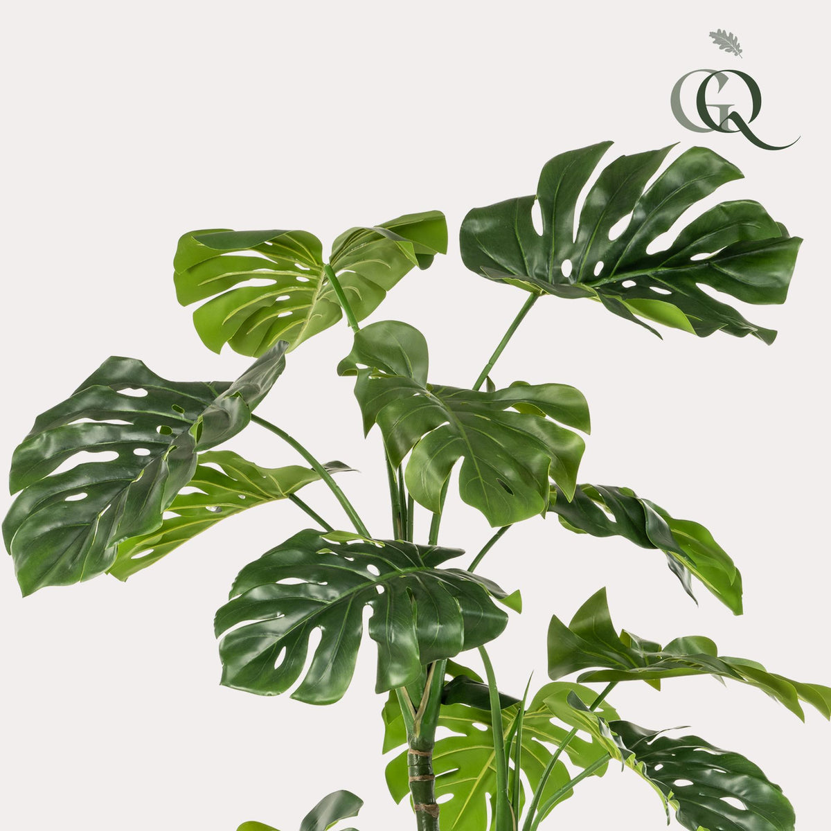 kunstplant - Monstera  - Gatenplant, detail van het blad