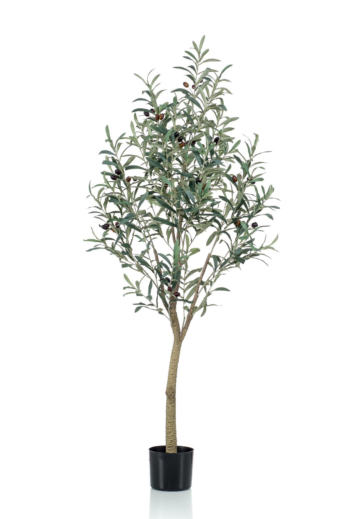 Productafbeelding van Pureplant