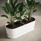 Productfoto van Elho Pot Greenville Easy Balcony D25cm - Wit
