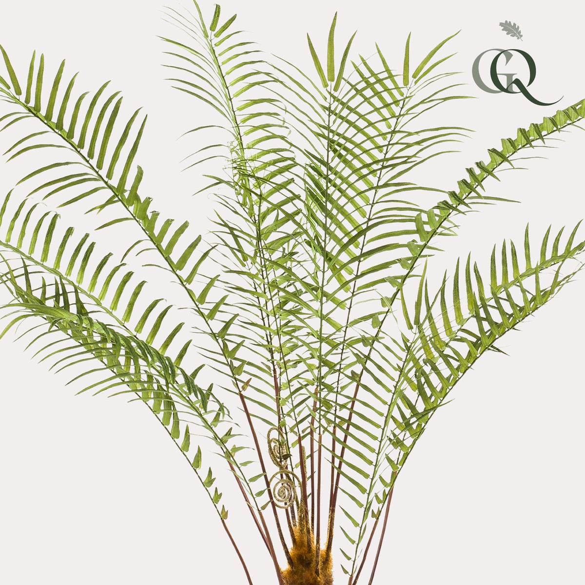 Kunstplant - Boomvaren - x15 -1, detail van het blad