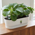 Detailfoto van Elho Pot Greenville Easy Balcony D25cm - Wit