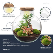 DIY Planten terrarium met licht - Bolder Bob Bonsai