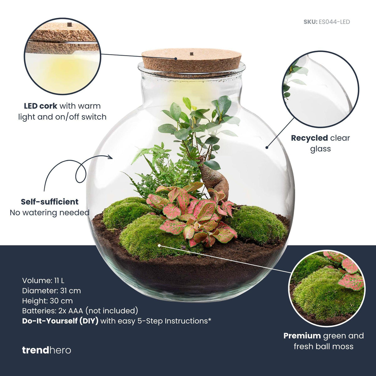 DIY Planten terrarium met licht - Bolder Bob Bonsai, groene bladeren