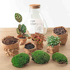 Productafbeelding van Pureplant