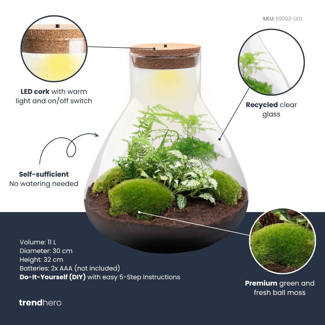 Detailfoto van DIY terrarium Sam XL Green met licht, zonder gereedschap