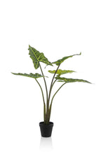 Kunstplant Alocasia 'Frydek', fluweelachtig blad, 80 cm, detail van het blad