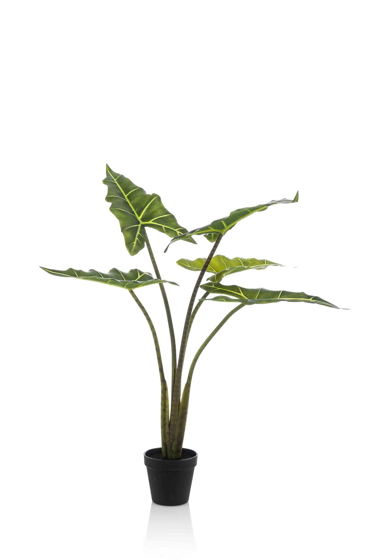 Kunstplant Alocasia 'Frydek', fluweelachtig blad, 80 cm, detail van het blad