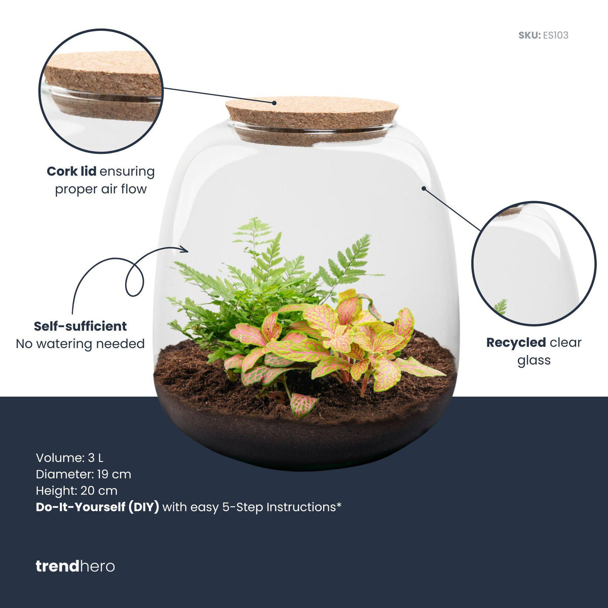 Planten terrarium - Emma Mini - DIY kit - Fittonia Ruby Lime, groene bladeren