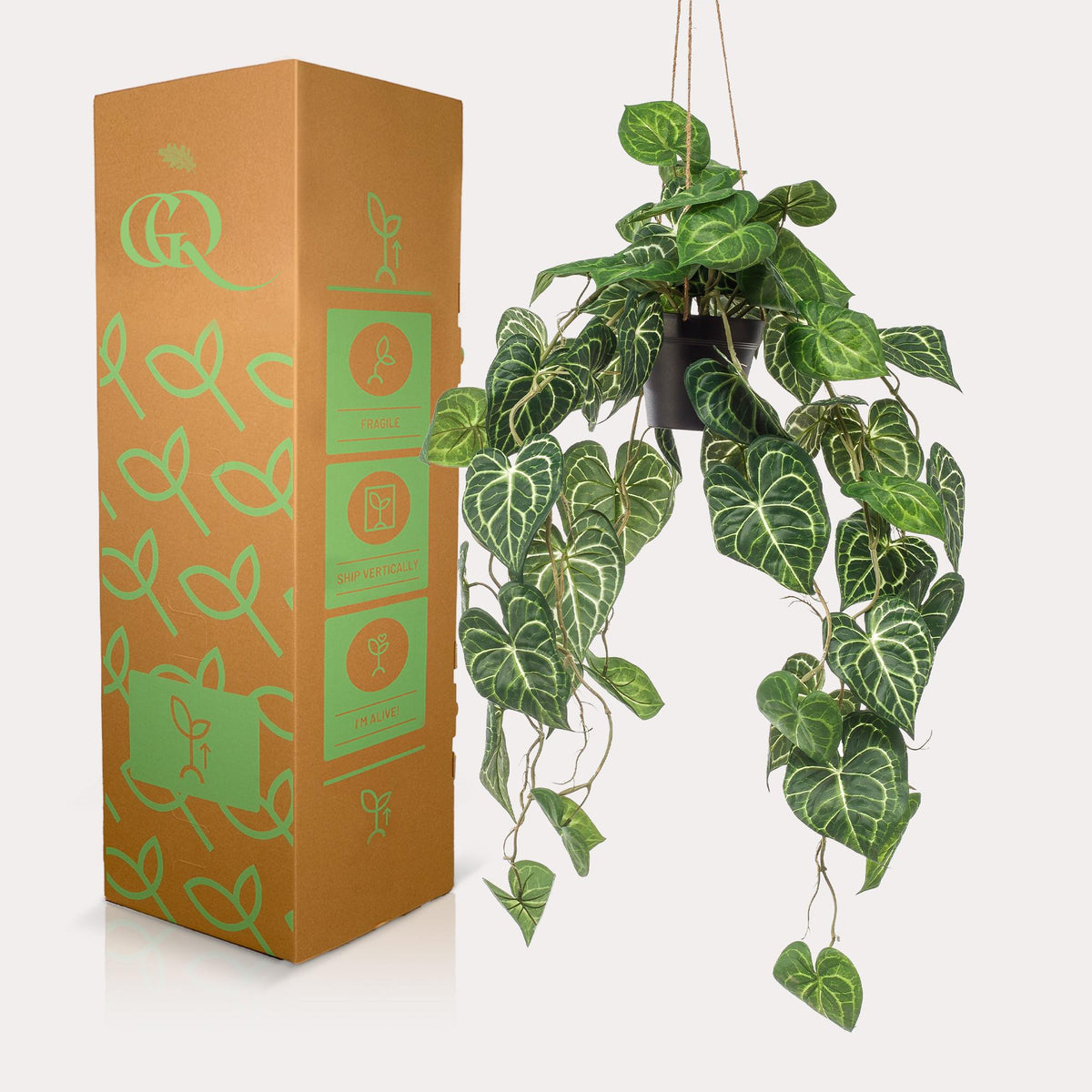 Productafbeelding van Pureplant