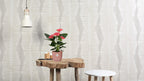 Anthurium Sweet Dream In Transparant Sleeve, plant in pot