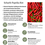 Rode plukgroente mix, tomaat, paprika, hete peper, 3 planten, sterke plant