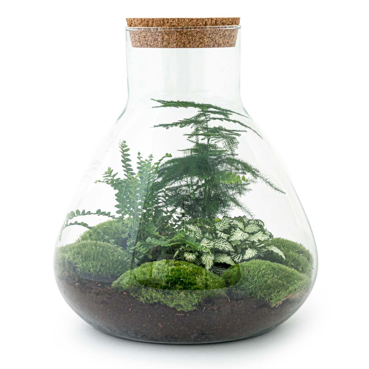 Detailfoto van DIY terrarium Sam XL Green met licht, hark en schep