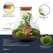 DIY planten terrarium met licht - Sam XL Bonsai
