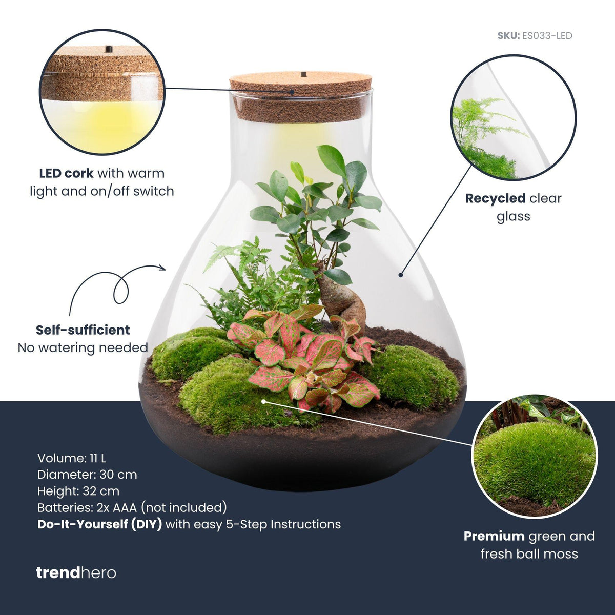 DIY planten terrarium met licht - Sam XL Bonsai, groene bladeren