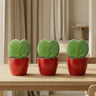 Sweetheart Plant Set (Hoya Kerrii ) - 3x Pot & Plant - Rood