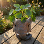 Planter Olifant D11/12x10cm - Grijs - D11/12x10cm, plant in pot