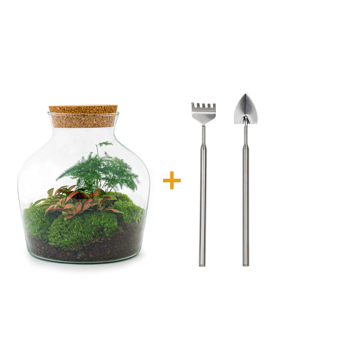 Detailfoto van DIY terrarium - Little Joe - Met hark en schep
